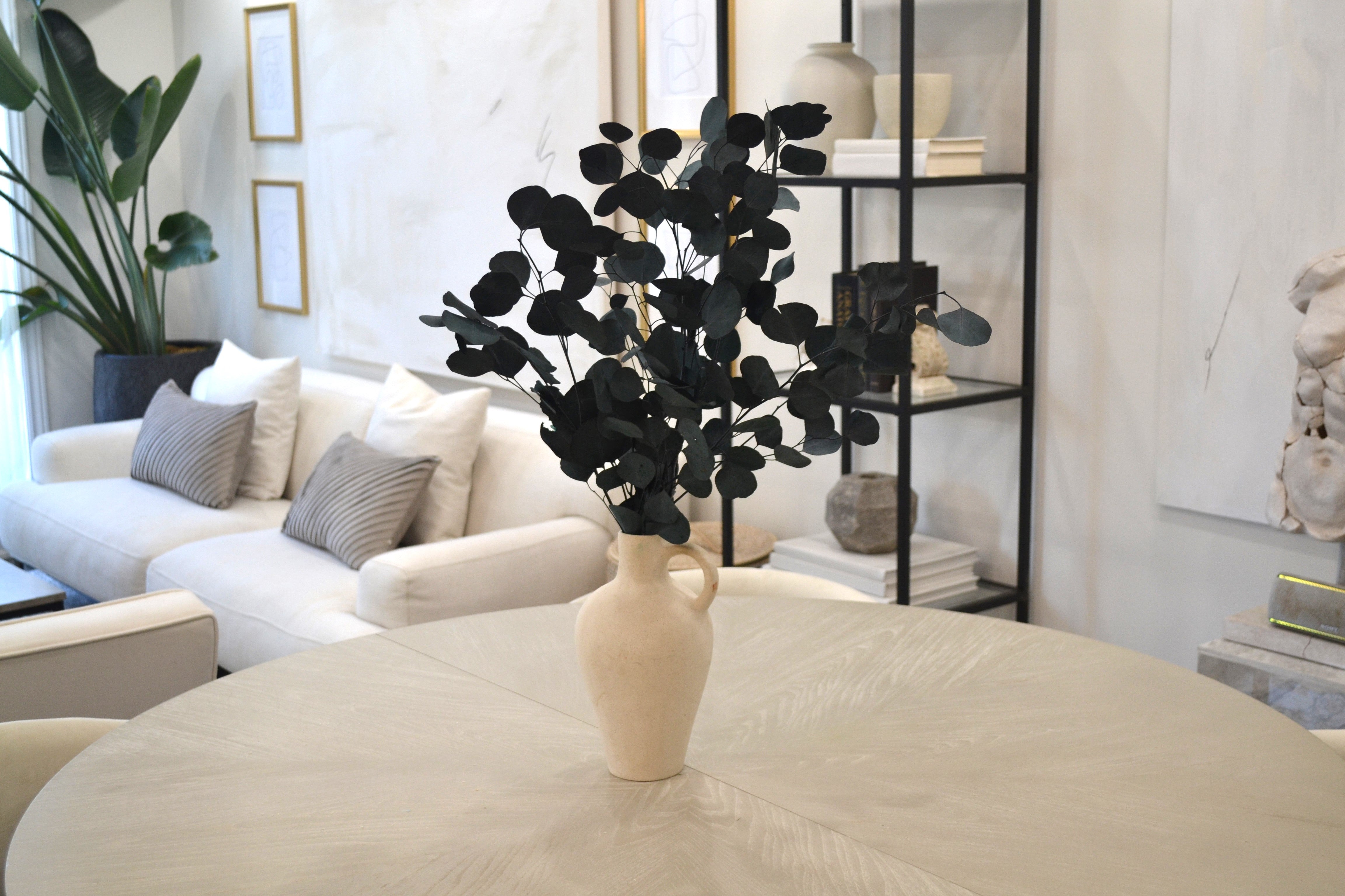 Silver Dollar Eucalyptus